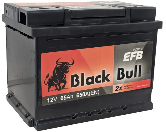 BB EFB 65 R